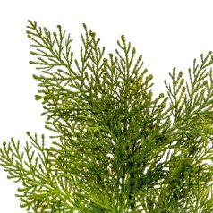 Tuja ág - 51 cm