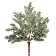 Fenyő bokor 7 ágú - 38 cm