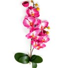 Rózsaszín két szárú mű orchidea - 67 cm