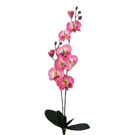 Halvány rózsaszín két szárú mű orchidea - 67 cm 