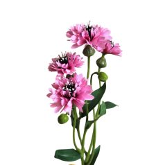 Rózsaszín mű búzavirág - 62 cm