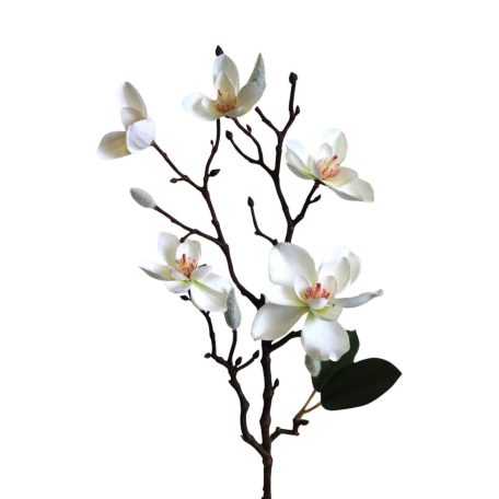 Fehér mű magnólia - 64 cm