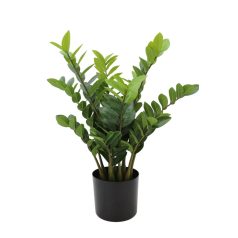 Mű legénypálma virágcserépben - 75 cm