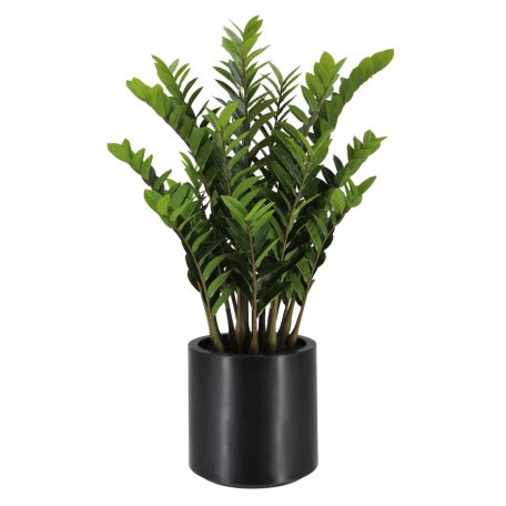Mű legénypálma virágcserépben -- 120 cm  