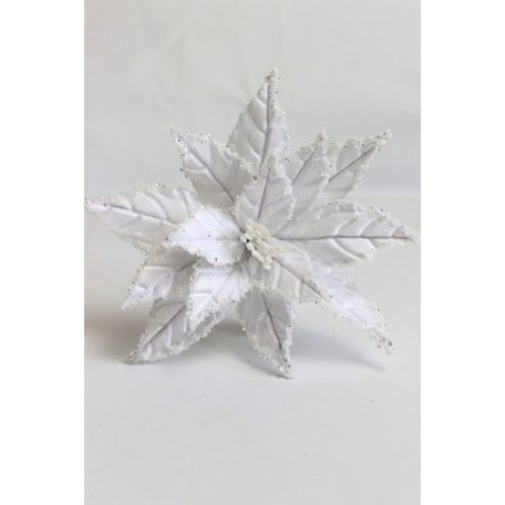 Fehér fagyos mikulásvirág - 28 cm