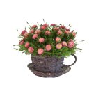 Rattan csésze alakú virágcserép - 17 cm