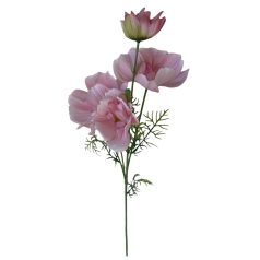 Rózsaszín mű cosmos (pillangóvirág) - 80 cm