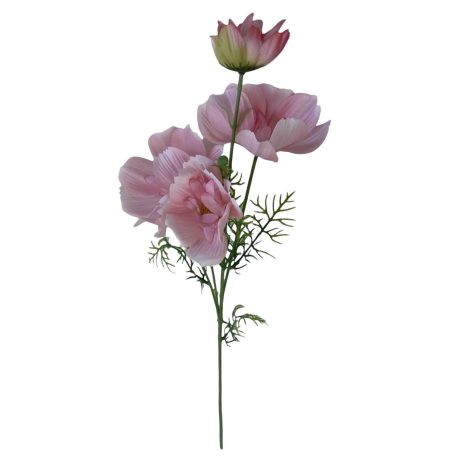 Rózsaszín mű cosmos (pillangóvirág) - 80 cm