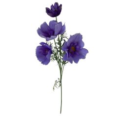 Lila mű cosmos (pillangóvirág) - 80 cm