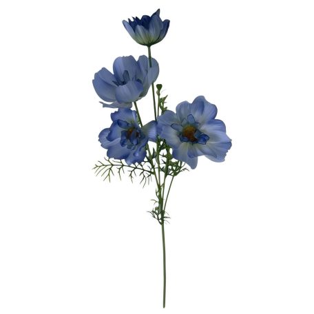Kék mű cosmos (pillangóvirág) - 80 cm