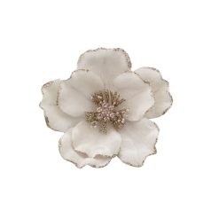 Fehér magnólia - 15 cm