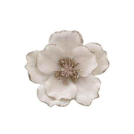 Fehér magnólia - 15 cm