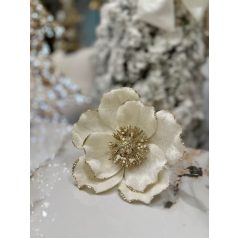 Fehér magnólia - 15 cm