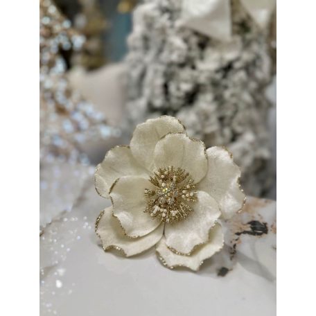 Fehér magnólia - 15 cm