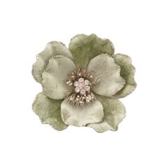 Világoszöld magnólia cspesszel - 15 cm