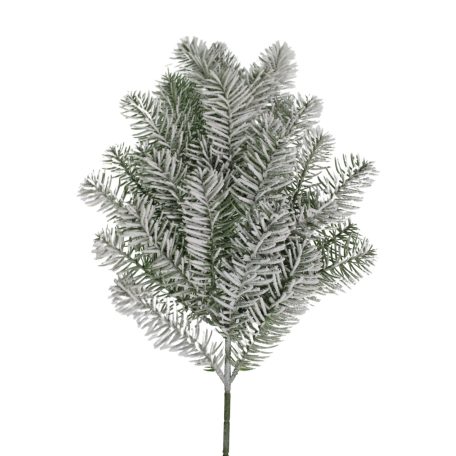 Hófödte tűlevelű bürökfa - 68 cm 