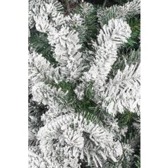 Havas karácsonyfa - 210 cm