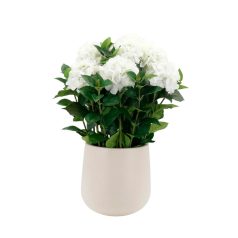 Fehér mű hortenzia kaspóban - 75 cm