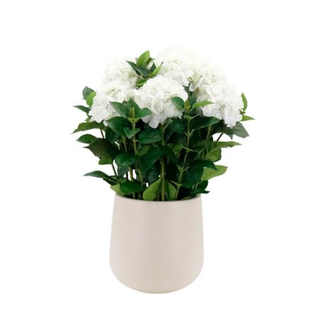 Fehér mű hortenzia kaspóban - 75 cm