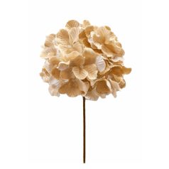 Krémszínű bársony hortenzia - 20 cm
