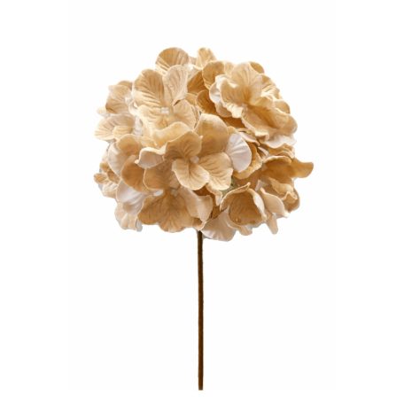 Krémszínű bársony hortenzia - 20 cm