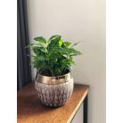 Kerámia kaspó - Vintage - Lila-arany - 12x11 cm, 16x14 cm, 20x17 cm