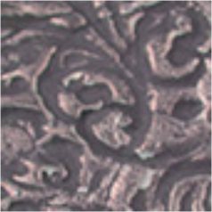 Pentart - Chameleon viaszpaszta - Barack - 20 ml