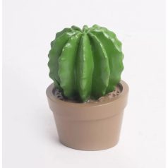 Kaktusz cserépben 2. - 4,3x6,3 cm