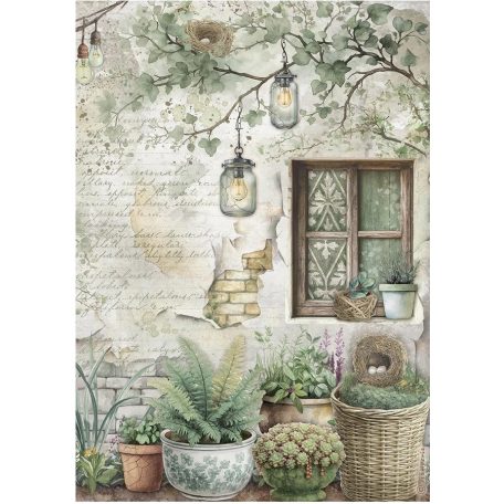 Stamperia rizspapír - Herbarium - A4 - DFSA-41077