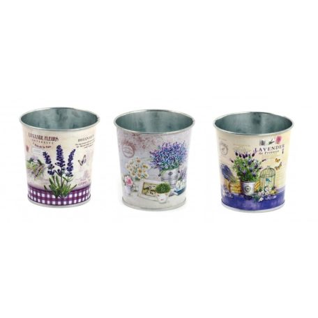 Kaspó levendulás - 3 féle - 8 cm, 10 cm, 12 cm  