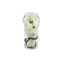 Szappanrózsa csokor/5 szál - Halványsárga - 24 cm