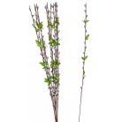 12 szálas barka csokor - 80 cm