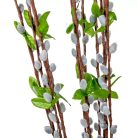 12 szálas barka csokor - 80 cm