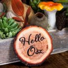 Nyomtatott fa tábla - Hello Ősz fakorong - 5 db/csomag