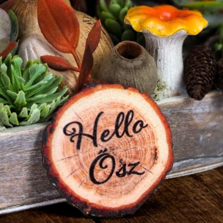 Nyomtatott fa tábla - Hello Ősz fakorong - 5 db/csomag