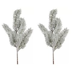 Havas fenyőág - 36 cm