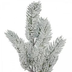 Havas fenyőág - 36 cm