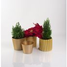 Kerámia kaspó - Primrose - Arany - 12x10 cm