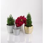 Kerámia kaspó - Primrose - Ezüst - 12x10 cm