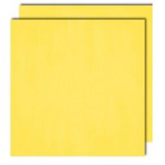   Bo Bunny scrapbook papír - Summer Mood - 2 oldalas -  30,5 x 30,5 cm