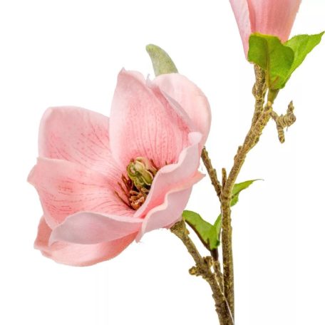 Magnólia ág - 2 színben - 36 cm