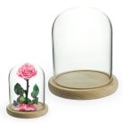 Üvegbúra fa talppal - 12x15 cm