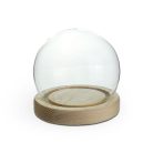 Üvegbúra fa talppal - 10 cm, 13 cm