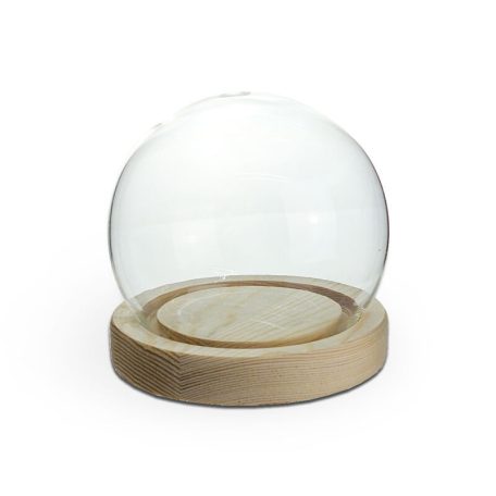 Üvegbúra fa talppal - 10 cm, 13 cm