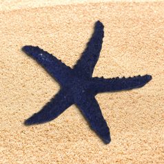 Tengeri csillag csomag - 6x6 cm - 6 db/csomag - Raktáron