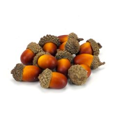   Dekorációs makk - Világos Barna - 2,8-4 cm - 12 db/csomag 