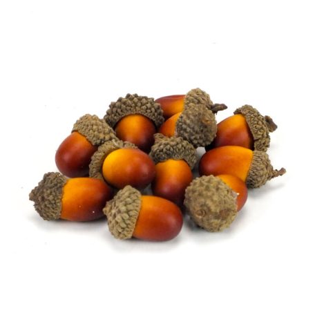 Dekorációs makk - Világos Barna - 2,8-4 cm - 12 db/csomag 