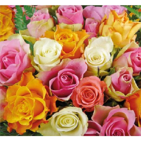 Ambiente papírszalvéta - Colourful Roses - 33x33 cm - 20 db/csomag