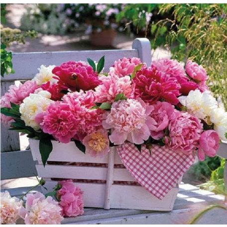 Ambiente papírszalvéta - Peonies In Basket - 33x33cm - 20 db/csomag