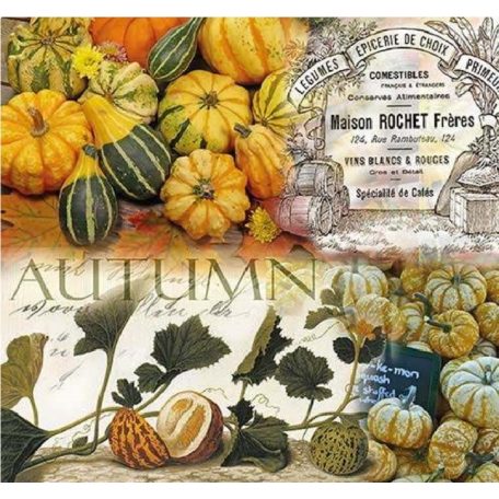 Ambiente Autumn Pumpkins papírszalvéta 33x33cm - 20db-os